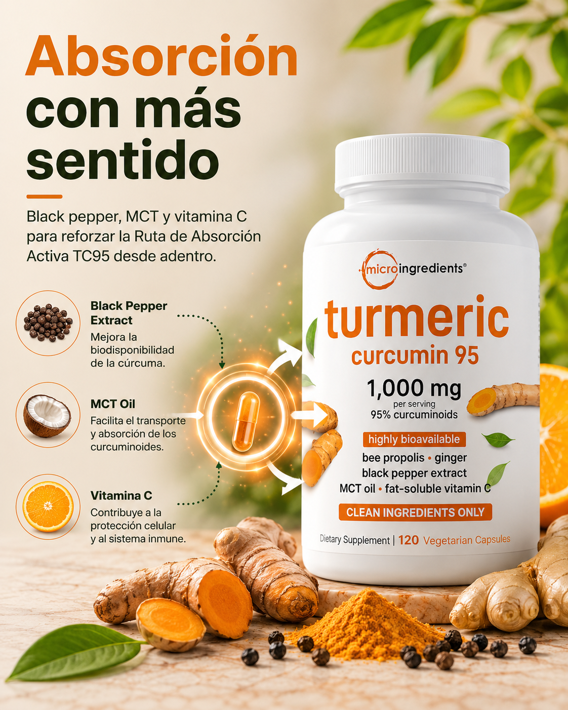 TURMERIC CURCUMIN 95